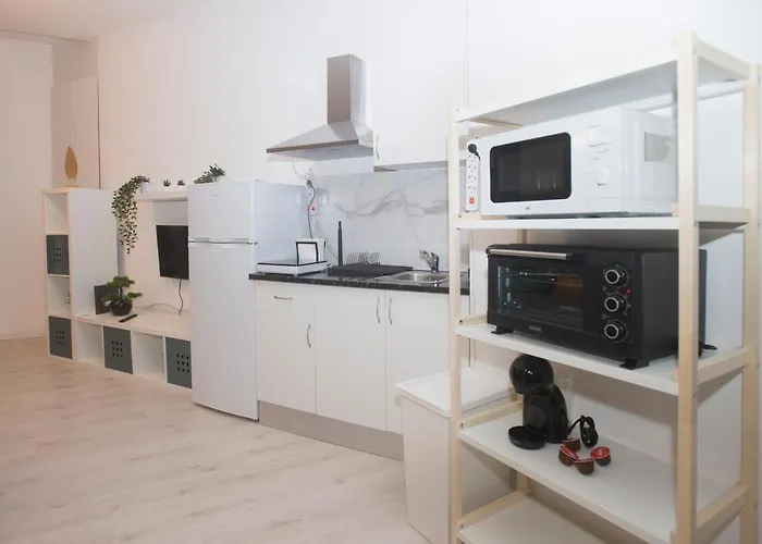 Bonsai Iiii بورتو